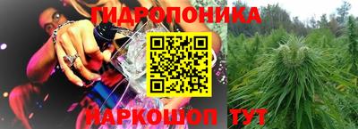 прущие грибы Заволжье