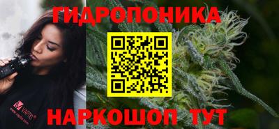 прущие грибы Заволжье