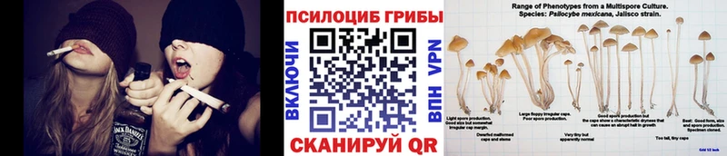 сколько стоит  Минусинск  Галлюциногенные грибы GOLDEN TEACHER 
